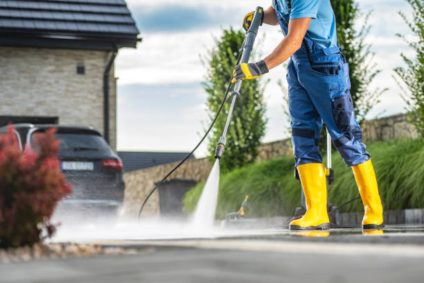 Best Driveway Pressure Washing  in South Amherst, OH